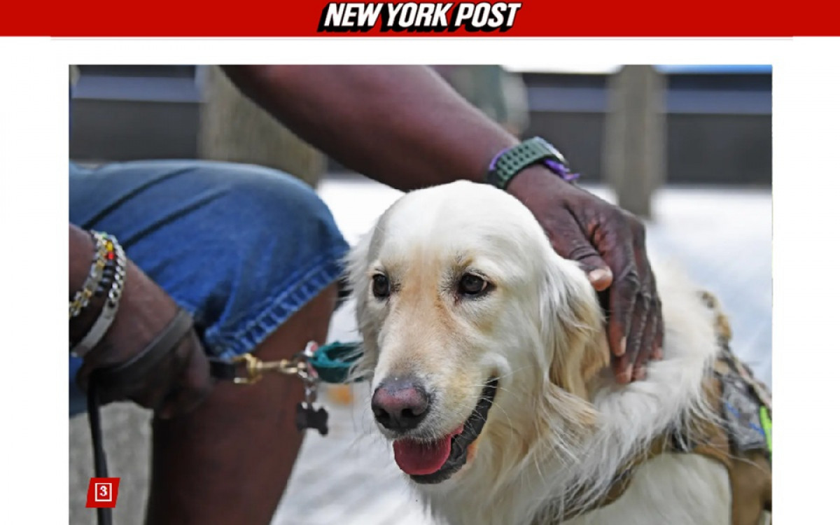 Ben se tornou um grande amigo de Raphael