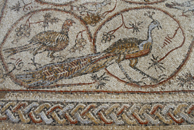 Tesouro arqueológico é salvo de operação militar israelense em Gaza