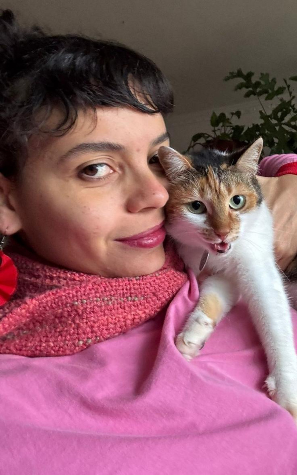 Nuvem ficou 9 dias desaparecida até ser encontrada num local inusitado: dentro de uma kombi - @BuscaCats