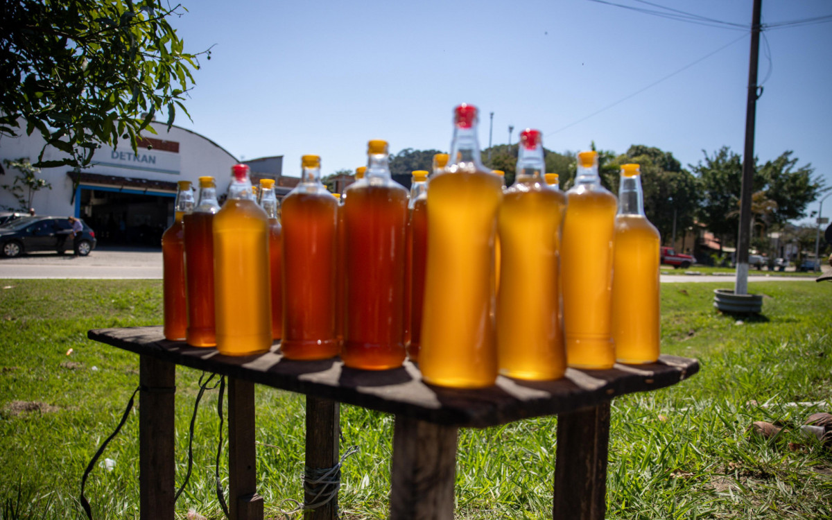 Operação conjunta na BR-101 em Casimiro de Abreu apreende produtos de origem animal sem registro e sem rotulagem