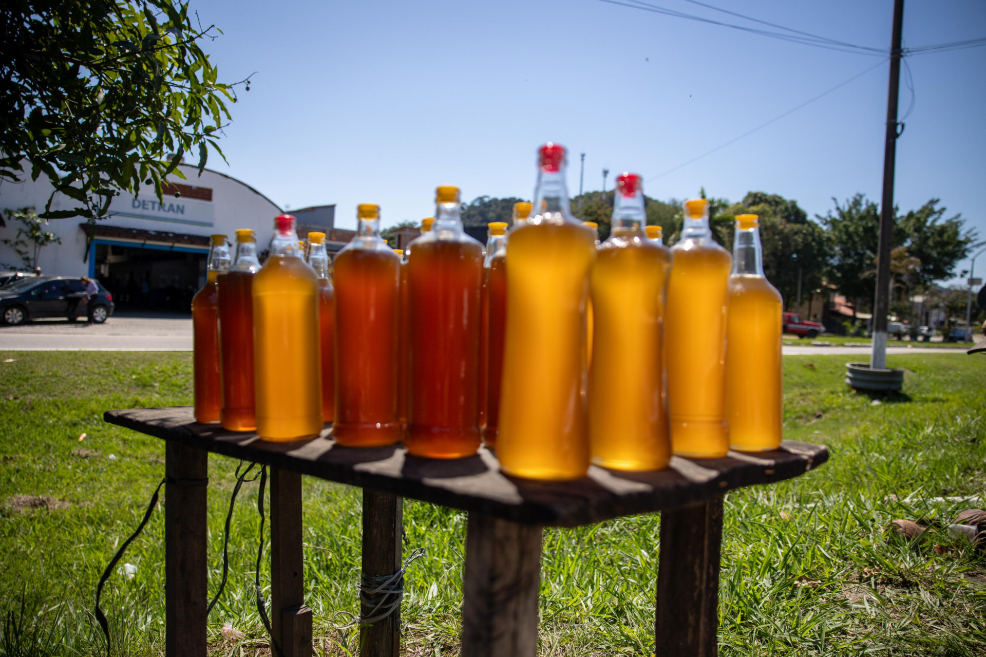 Opera&ccedil;&atilde;o conjunta na BR-101 em Casimiro de Abreu apreende produtos de origem animal sem registro e sem rotulagem - Foto: Divulga&ccedil;&atilde;o