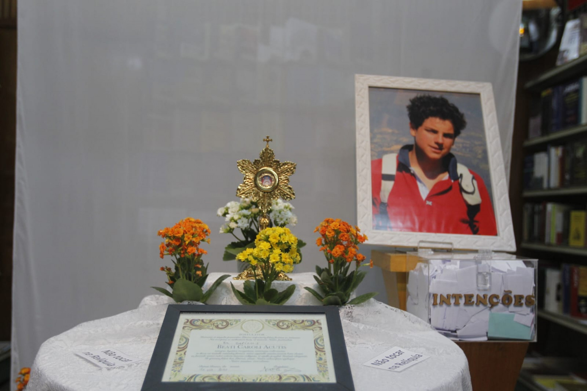 S&atilde;o Carlo Acutis &eacute; o primeiro santo da gera&ccedil;&atilde;o millennial - Reginaldo Pimenta/Ag&ecirc;ncia O Dia