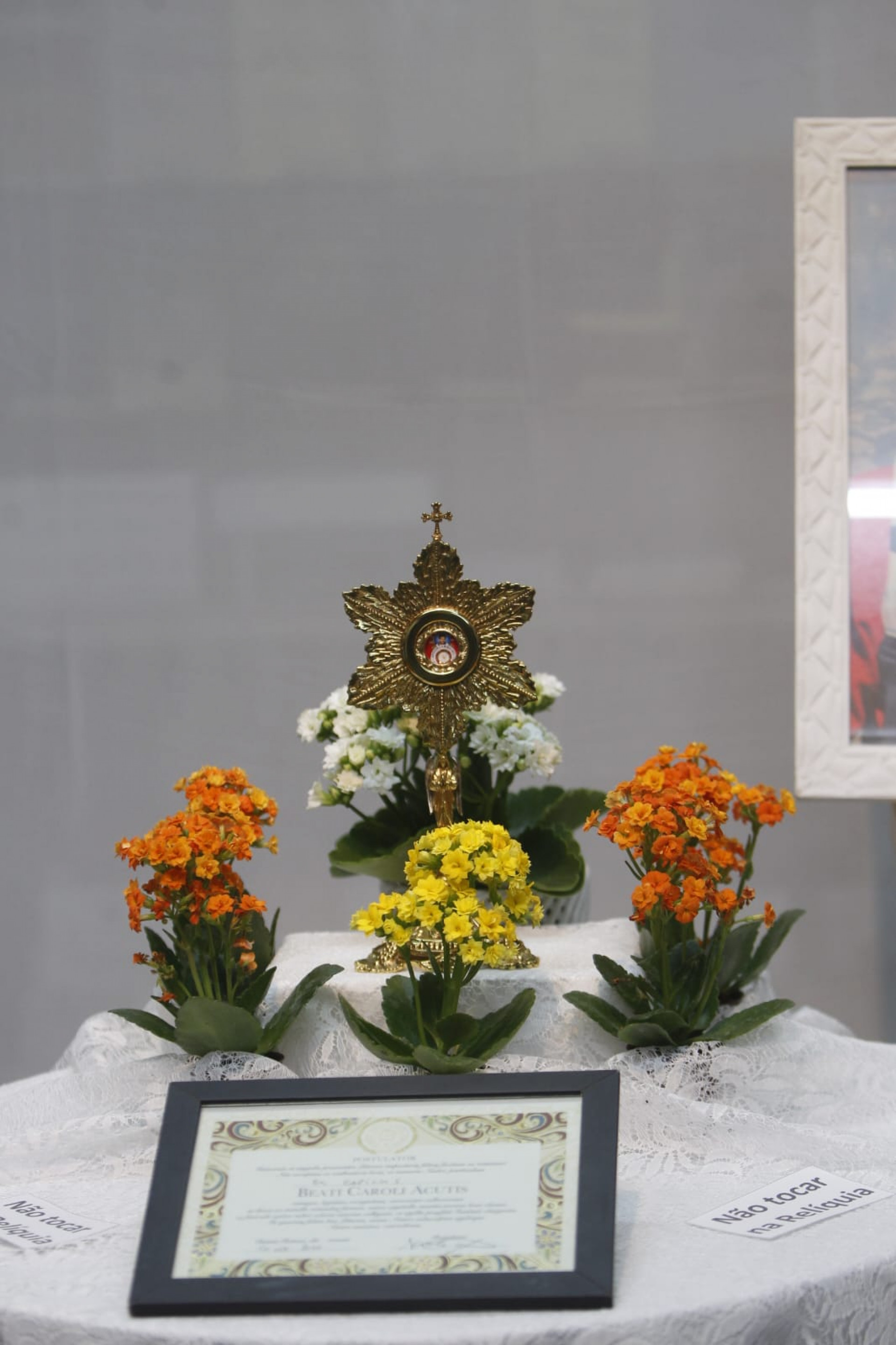 Exposição da relíquia do mais novo santo canonizado, São Carlo Acutis, atrai devotos no Centro do Rio - Reginaldo Pimenta/Agência O Dia