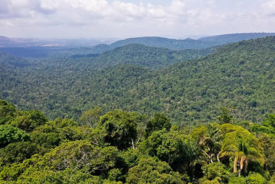 Em 40 anos, Amazônia perdeu área de vegetação do tamanho da França