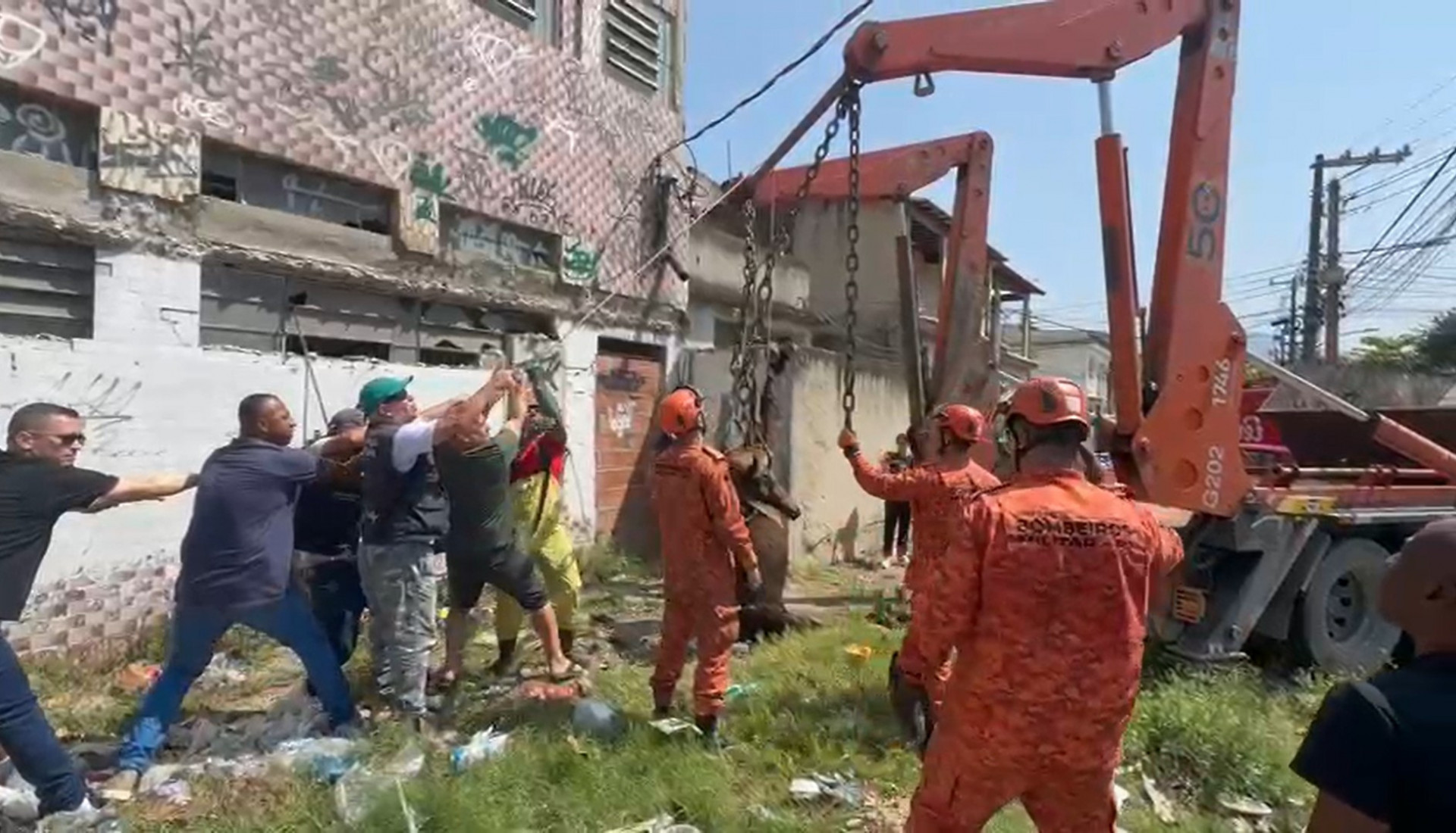 Égua caiu em um bueiro destampado em uma calçada de Senador Camará, na Zona Oeste - Divulgação