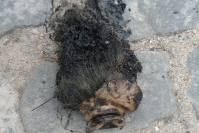 Cabeça de boneca, garrafas PET e até blocos de rua: mutirão limpa redes de esgoto e retira 800 quilos de lixo em Macaé