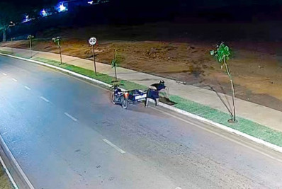 Homem é flagrado furtando grama da prefeitura e acaba preso no Mato Grosso