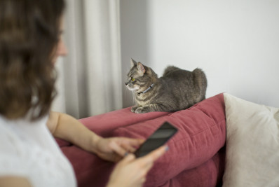 Tem pet em casa? Aprenda a escolher os tecidos certos para os seus móveis