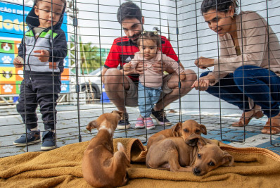 Feira de Adoção de Cães e Gatos leva esperança e afeto ao Shopping Plaza Macaé