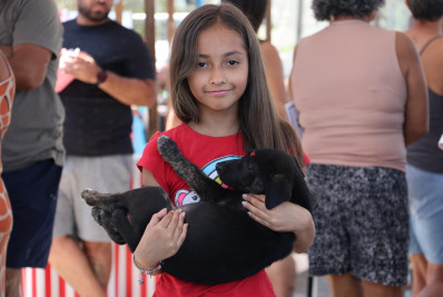 Maricá encontra novos lares para cães e gatos abandonados