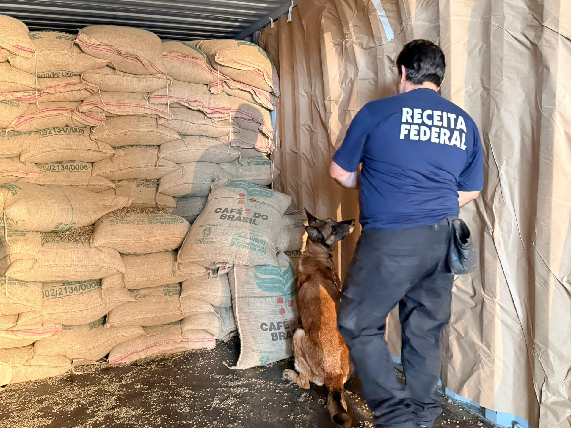 Apreensão foi feita pela Receita e Polícia Federal - Divulgação