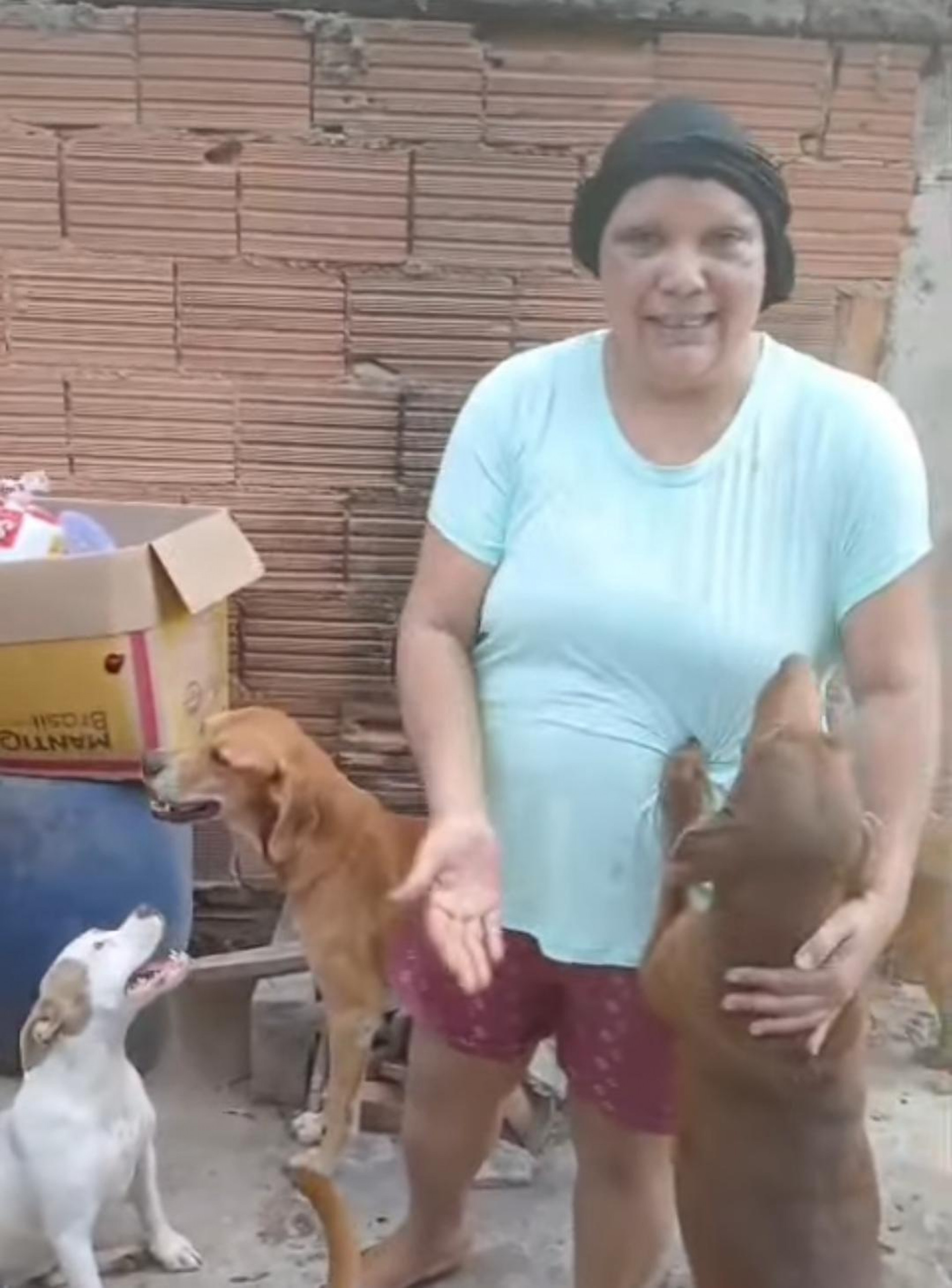 Monalisa atualmente tem cerca de 80 cachorros no abrigo, que mantém em Guaratiba, na Zona Oeste