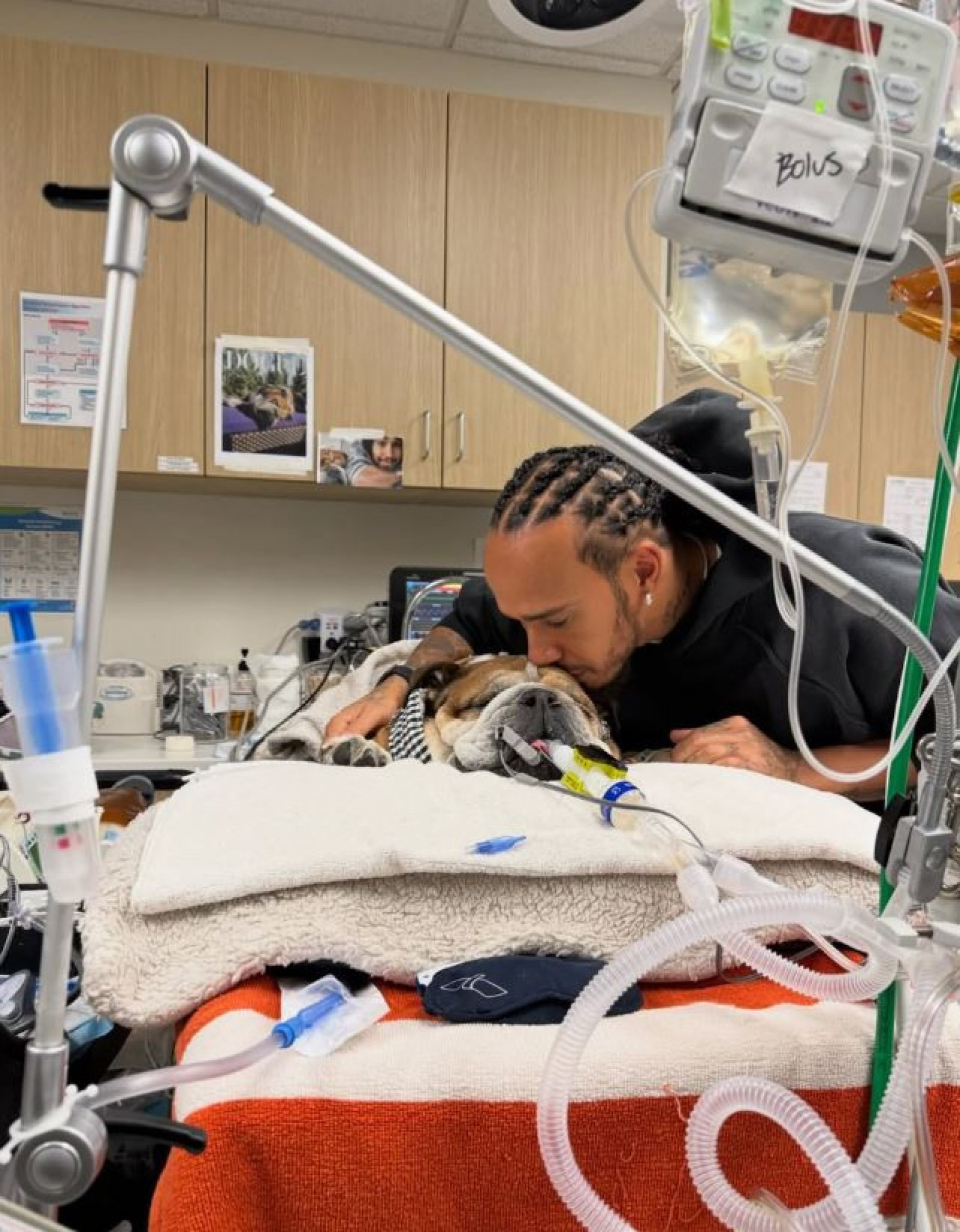 Lewis Hamilton publicou sobre a situação do seu cachorro nesta quinta-feira (26) - Reprodução / Instagram