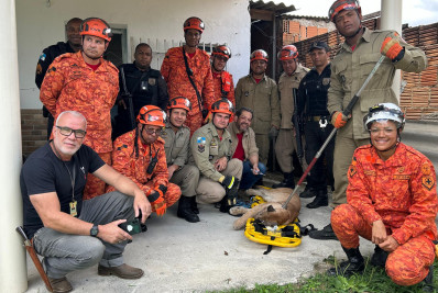 Onça parda é resgatada por bombeiros dentro de casa em Resende