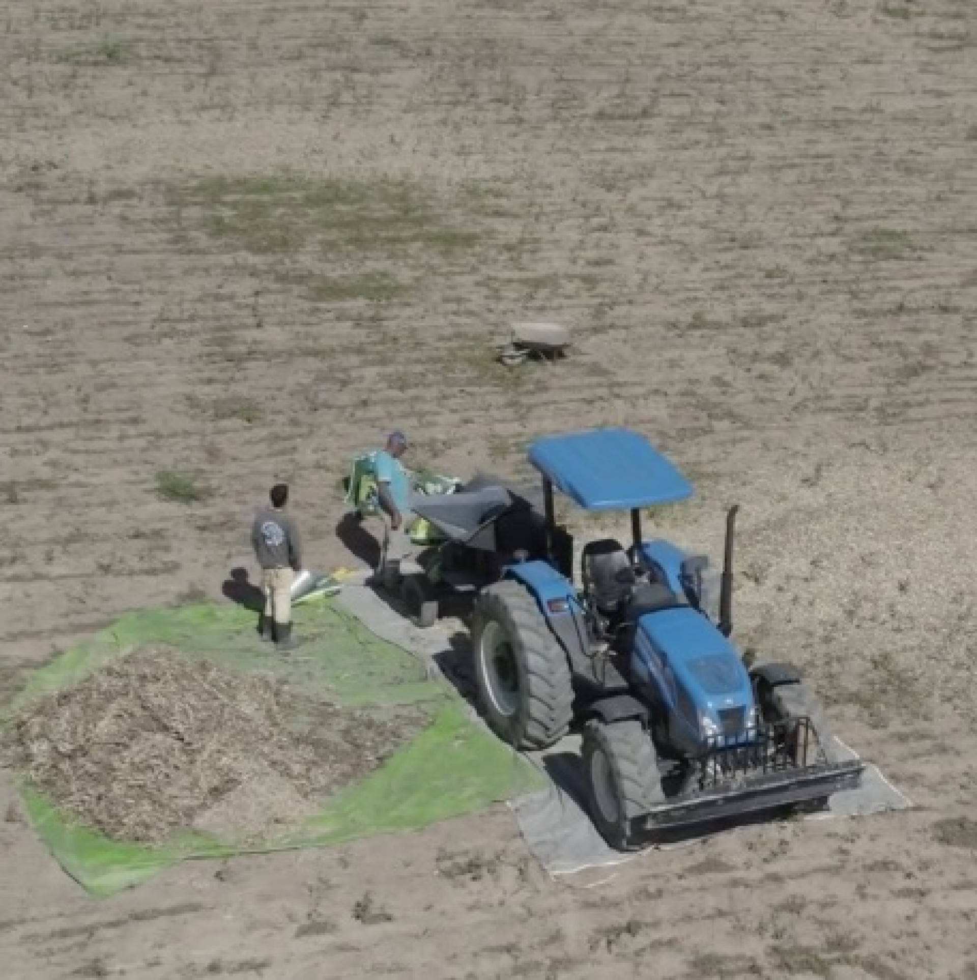 Produção local de feijão ganha destaque e passa a abastecer escolas municipais de Macaé - Foto: Reprodução Rede Social