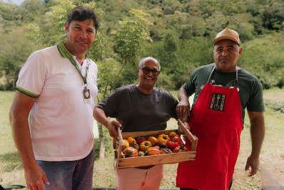 Colheita de tomates especiais do Inova Agroecologia Maricá atrai pesquisadores de Goiás