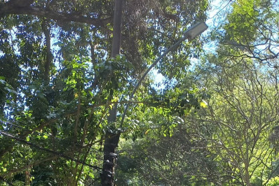 Acidente entre viatura da Polícia Civil e ônibus interdita o Alto