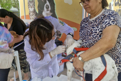 VetMóvel realiza 290 atendimentos a cães e gatos no bairro Retiro, em Volta Redonda