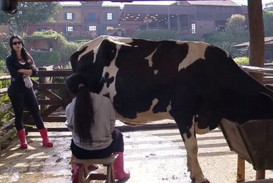 'A Fazenda': Rayane Figliuzzi revela não ter proximidade com a mãe de Belo