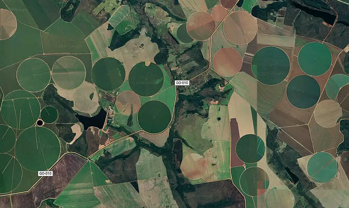 Cerrado brasileiro perdeu 28% da vegetação nativa em 40 anos