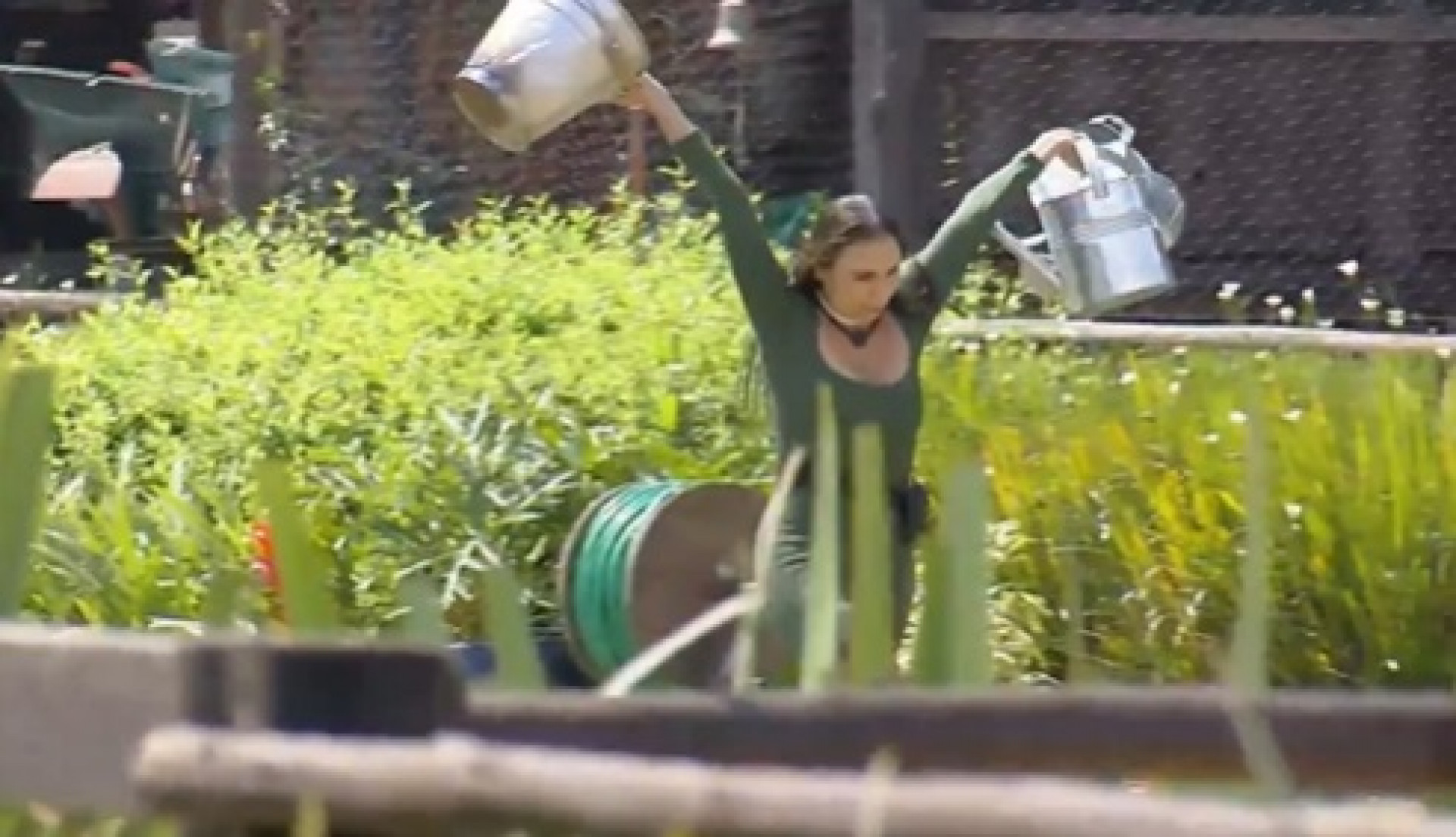 Yoná não pode ajudar peões nos tratos por não ser fazendeira ou da baia - Reprodução de Vídeo/ X