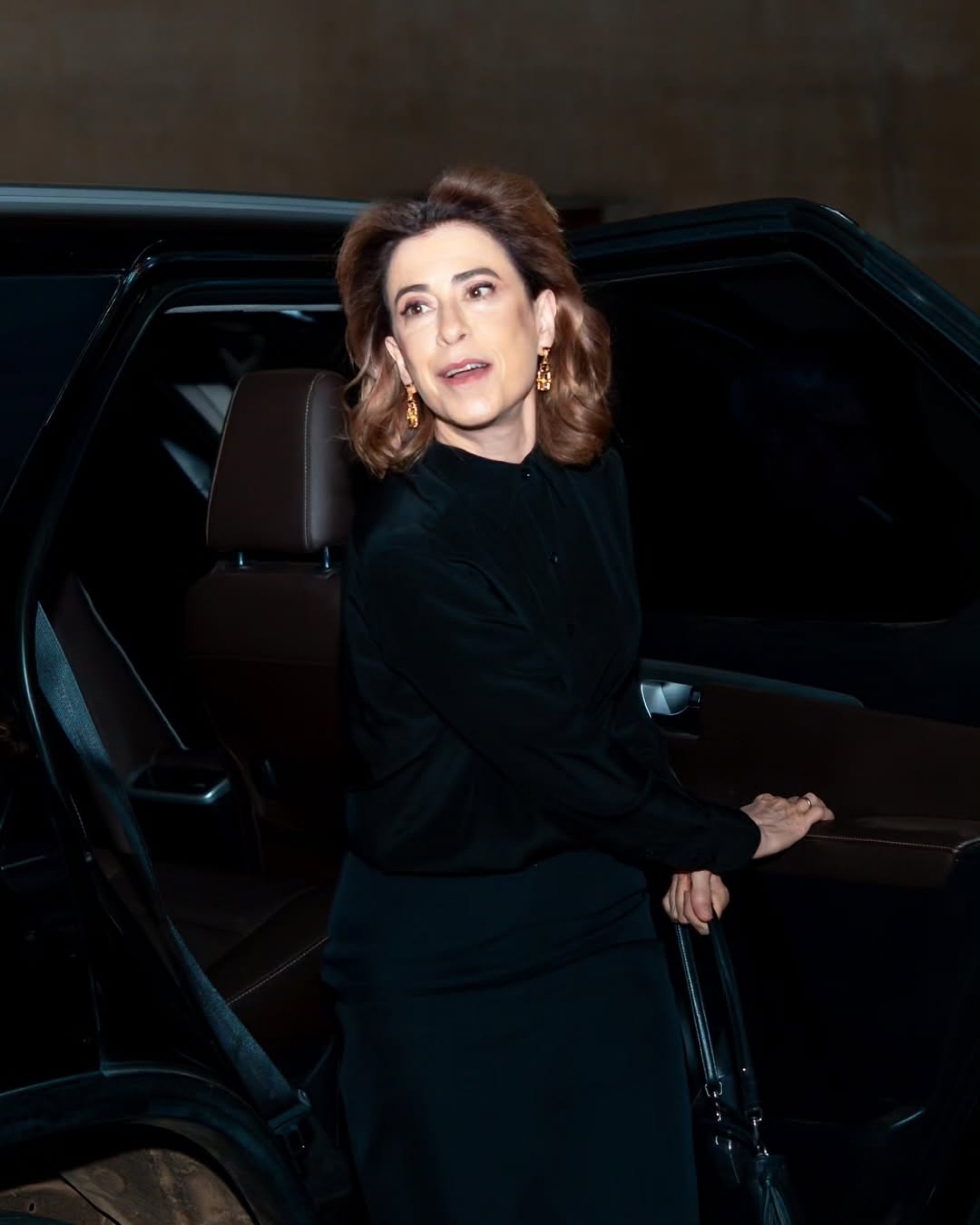 Fernanda Torres anunciou novo projeto  - Reprodução/Instagram  @pedrobozan