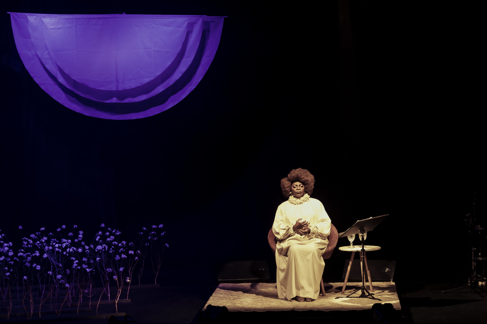 Zezé Motta encena monólogo baseado em best-selles de Maya Angelou - Divulgação/Ariel Cavotti