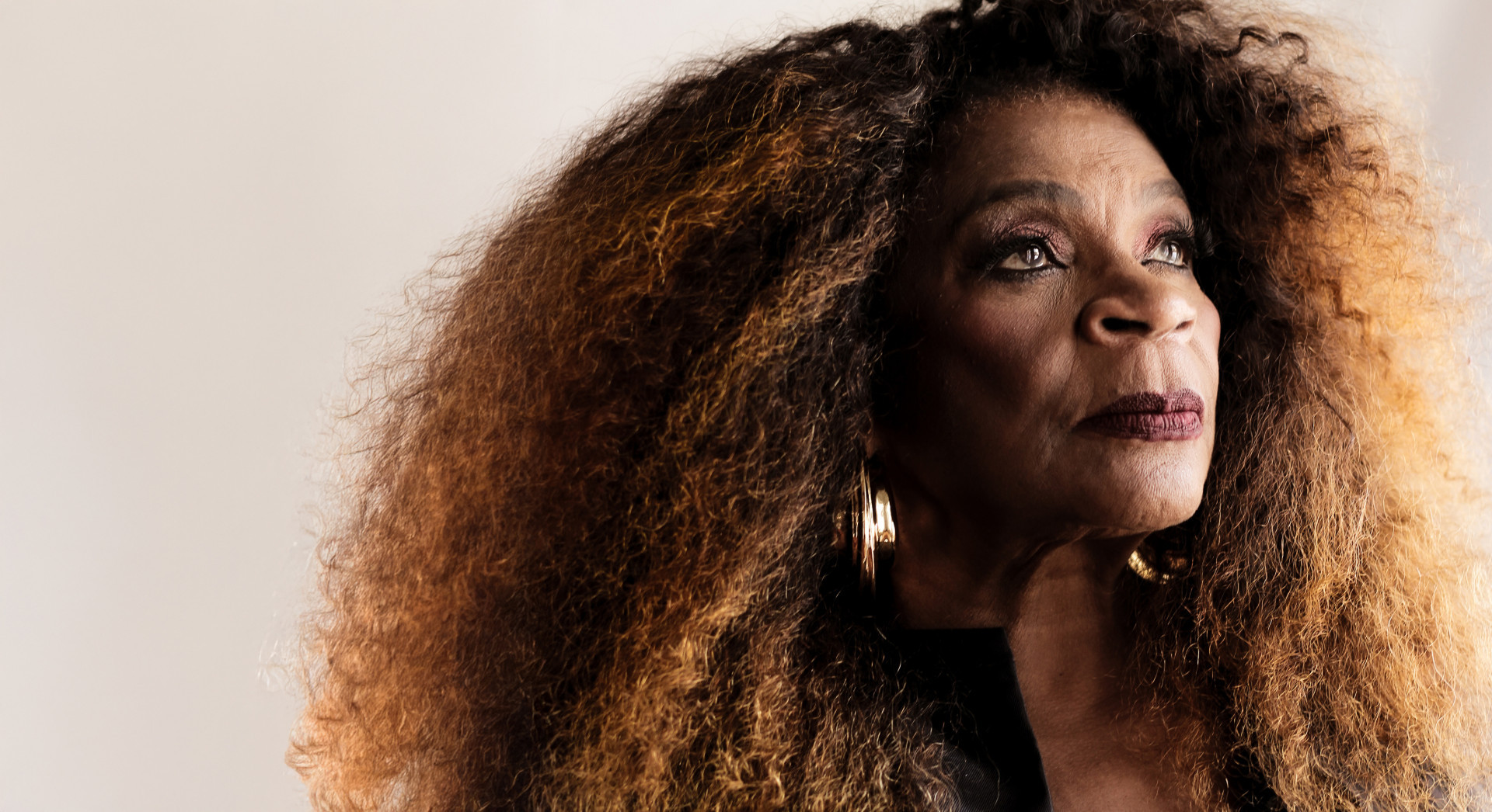 Zezé Motta  - Divulgação/Wagner Loiola