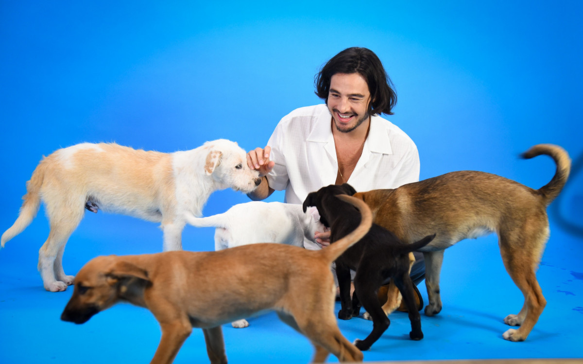 Tiago Iorc e cachorros
