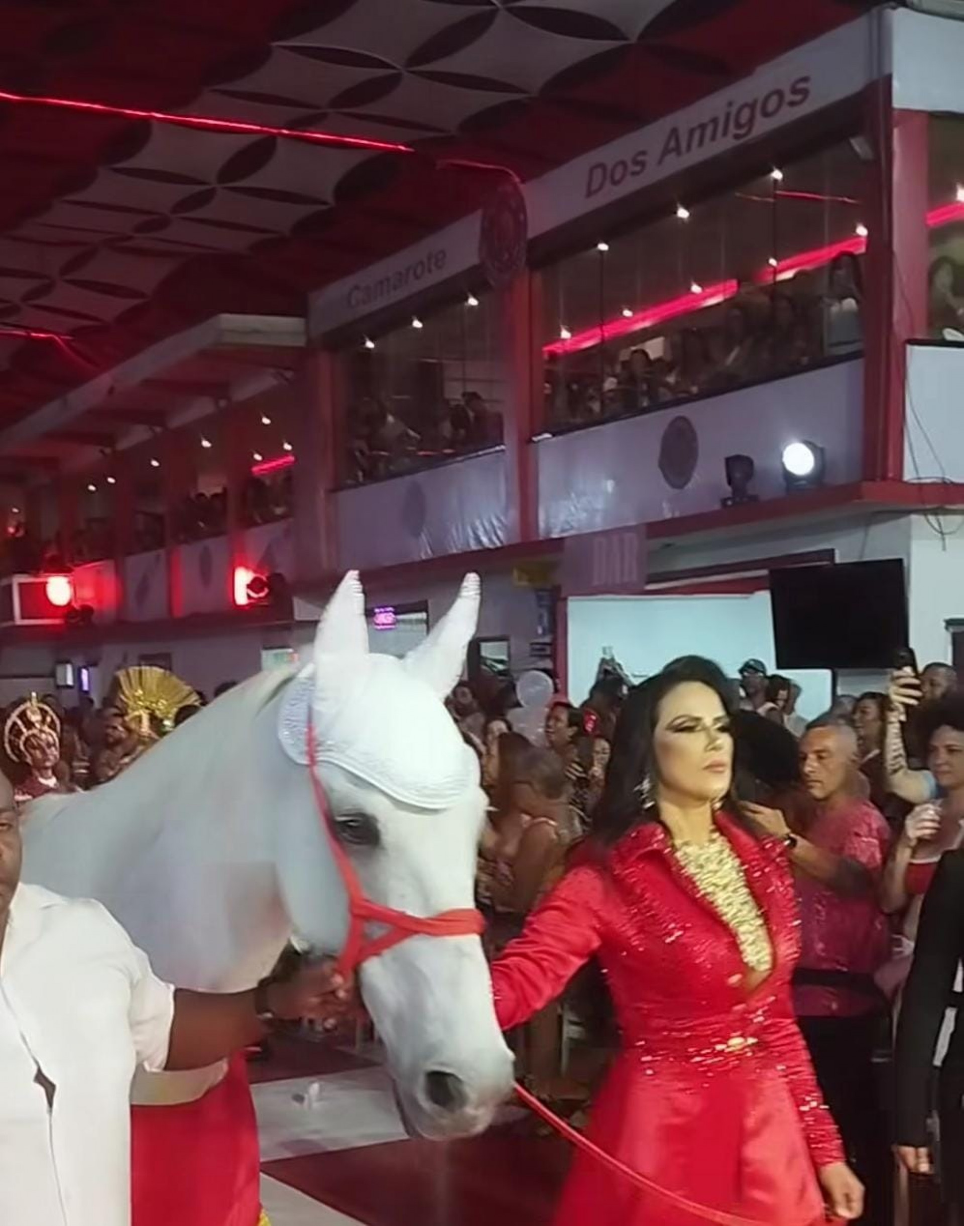 Alice Alves entra com cavalo na quadra da Estácio de Sá. - Reprodução/Instagram