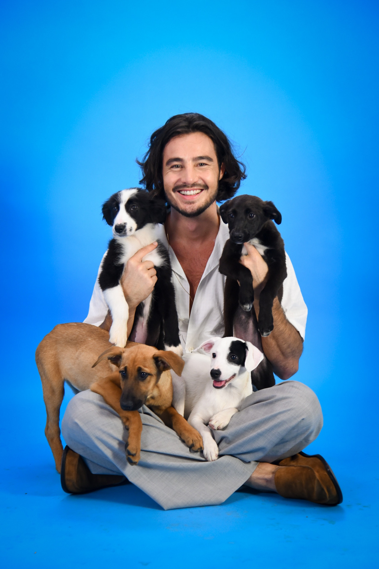 Tiago Iorc e cachorros