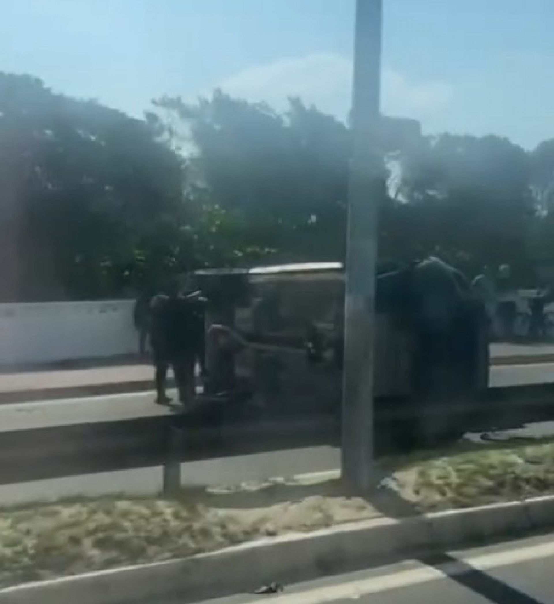 Equipes do Corpo de Bombeiros e da Guarda Municipal atuam no local do capotamento na ponte de Costazul