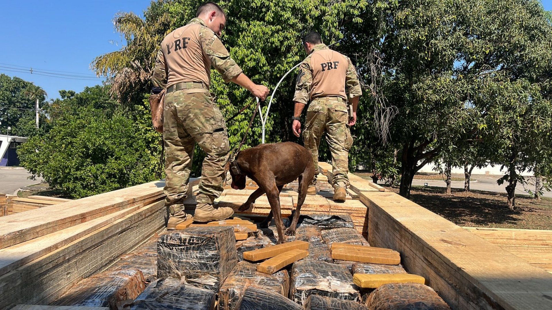 Maconha estava escondida entre as tábuas de madeira - Divulgação / PRF