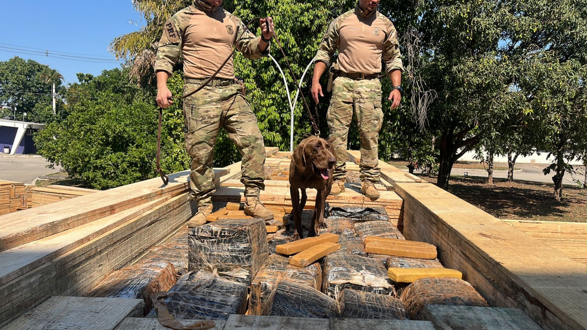 Maconha estava escondida entre as tábuas de madeira - Divulgação / PRF