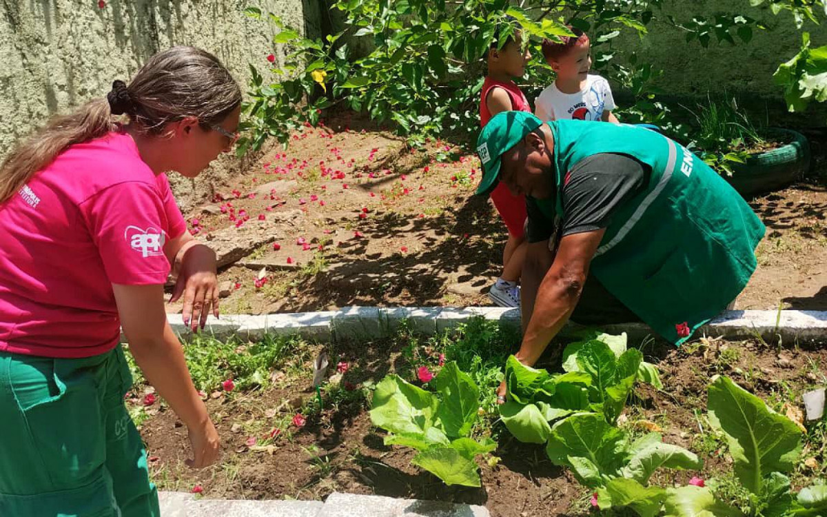 Estudantes participaram da colheita