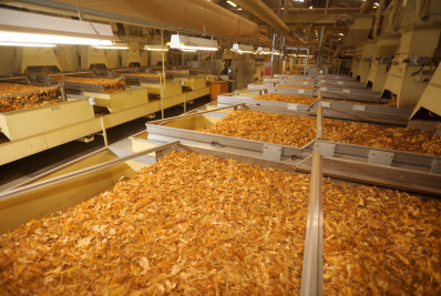 Exportações de tabaco podem superar US$ 3 bilhões em 2025