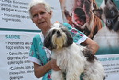 Bem-estar animal: modelo de trabalho em Angra é referência em evento nacional