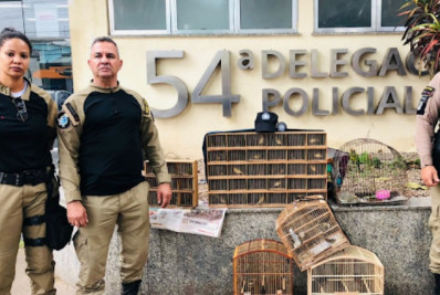 Mais de 100 aves silvestres são apreendidas em feira de Belford Roxo