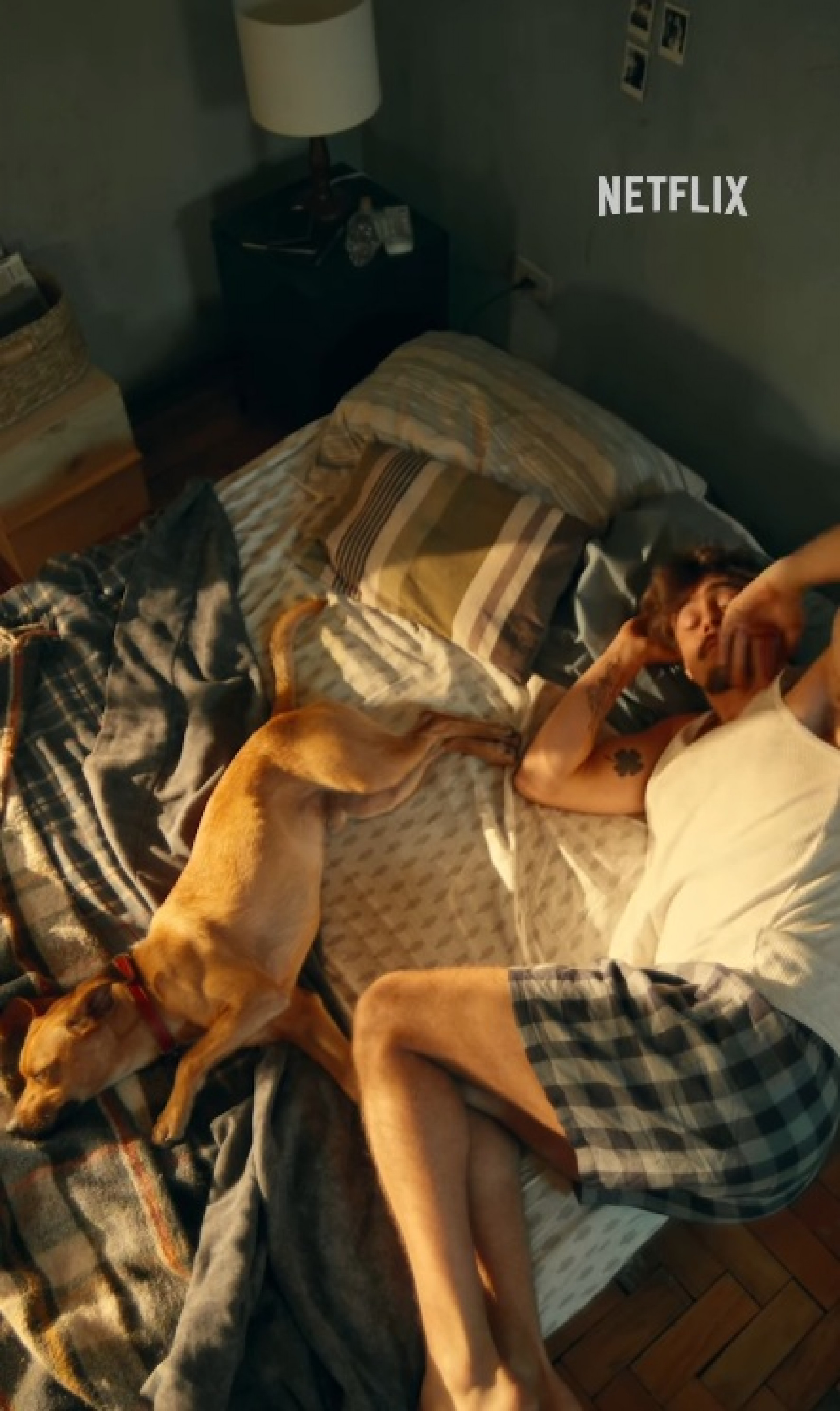 Pedro e Caramelo - Reprodução/Instagram