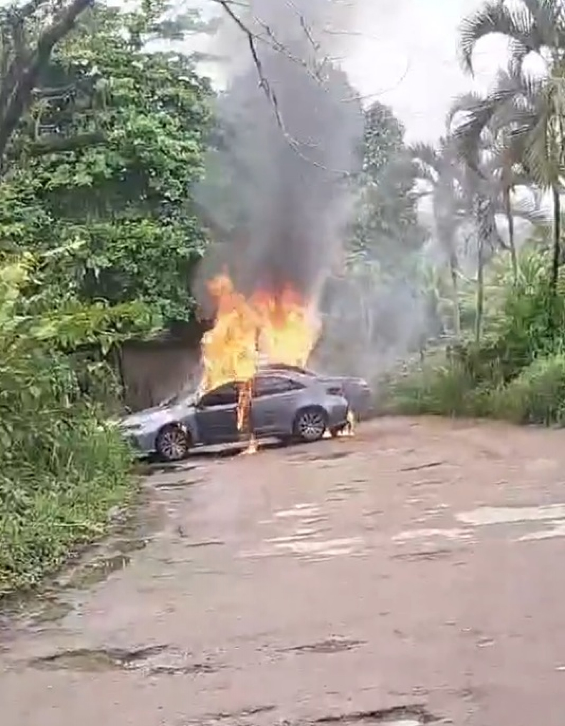 Criminosos teriam ateado fogo em um carro na Carobinha - Reprodução