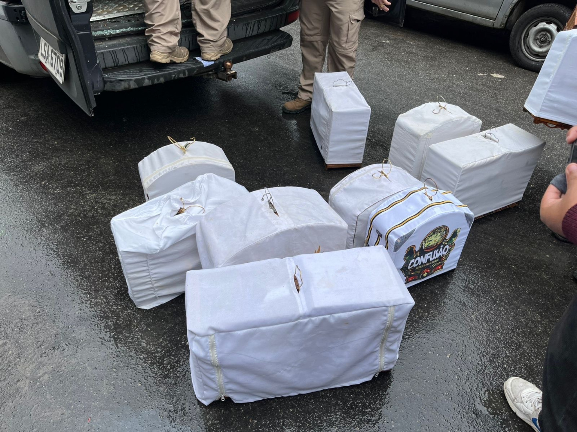 Animais foram encontrados em condi&ccedil;&otilde;es inadequadas - Divulga&ccedil;&atilde;o