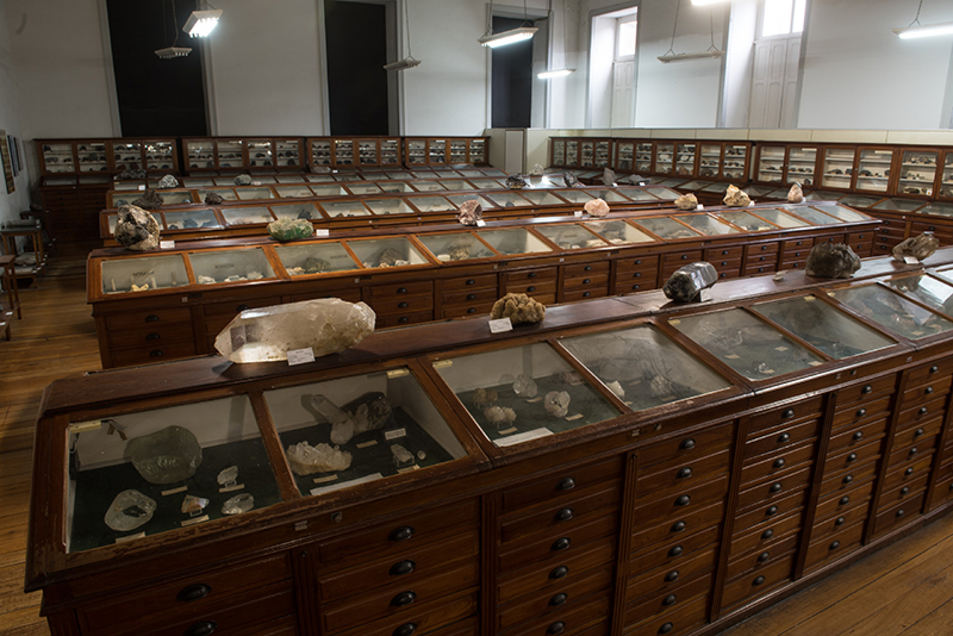 Museu possui um dos acervos de geologia e paleontologia mais relevantes da América Latina - Gabriel Andrade / MCTer