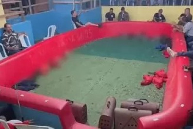 Operação policial encerra rinha de galos e detém 88 pessoas em Araruama