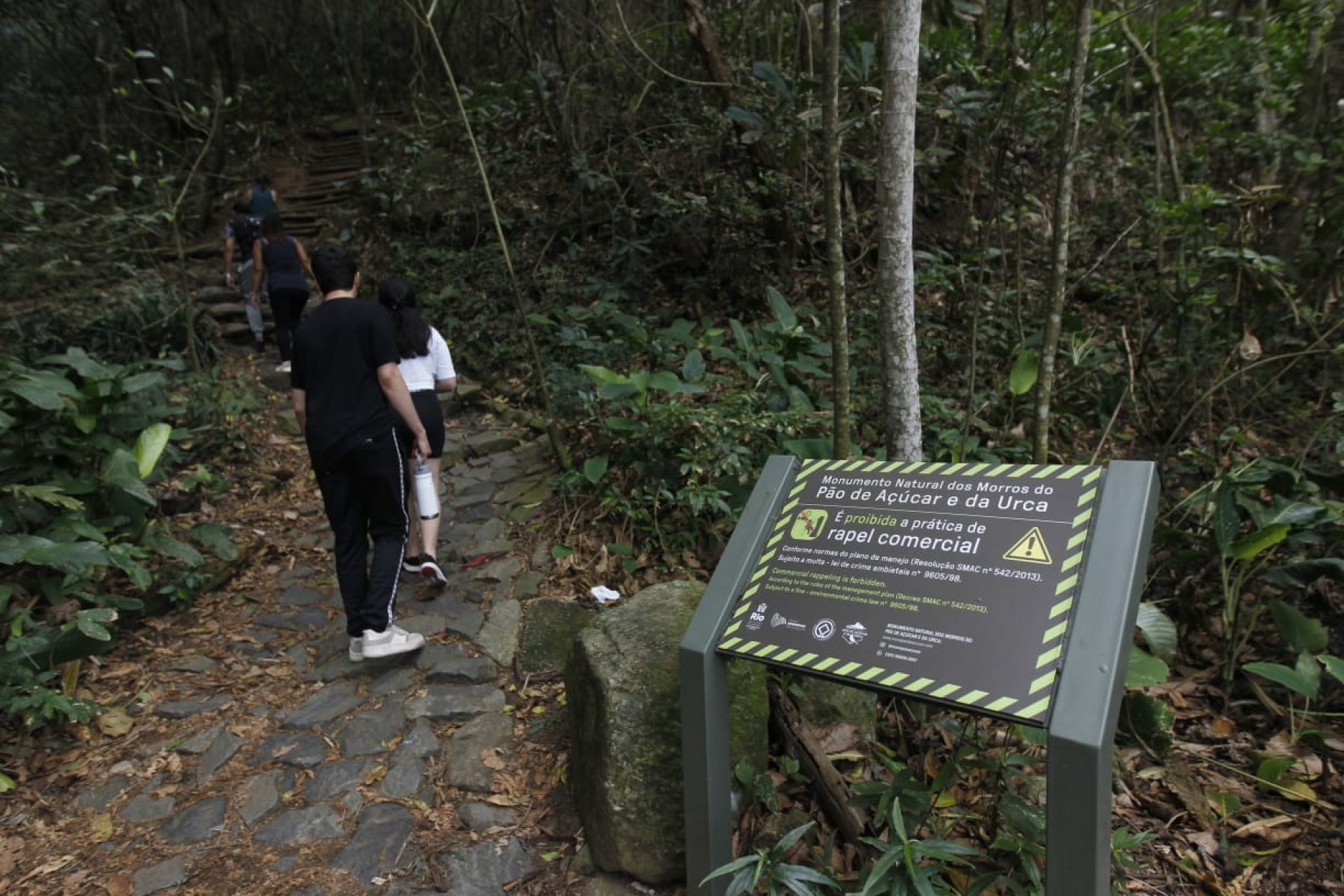Corpo de Bombeiros busca por idoso que desapareceu na trilha do Pão de Açúcar - Reginaldo Pimenta / Agência O Dia