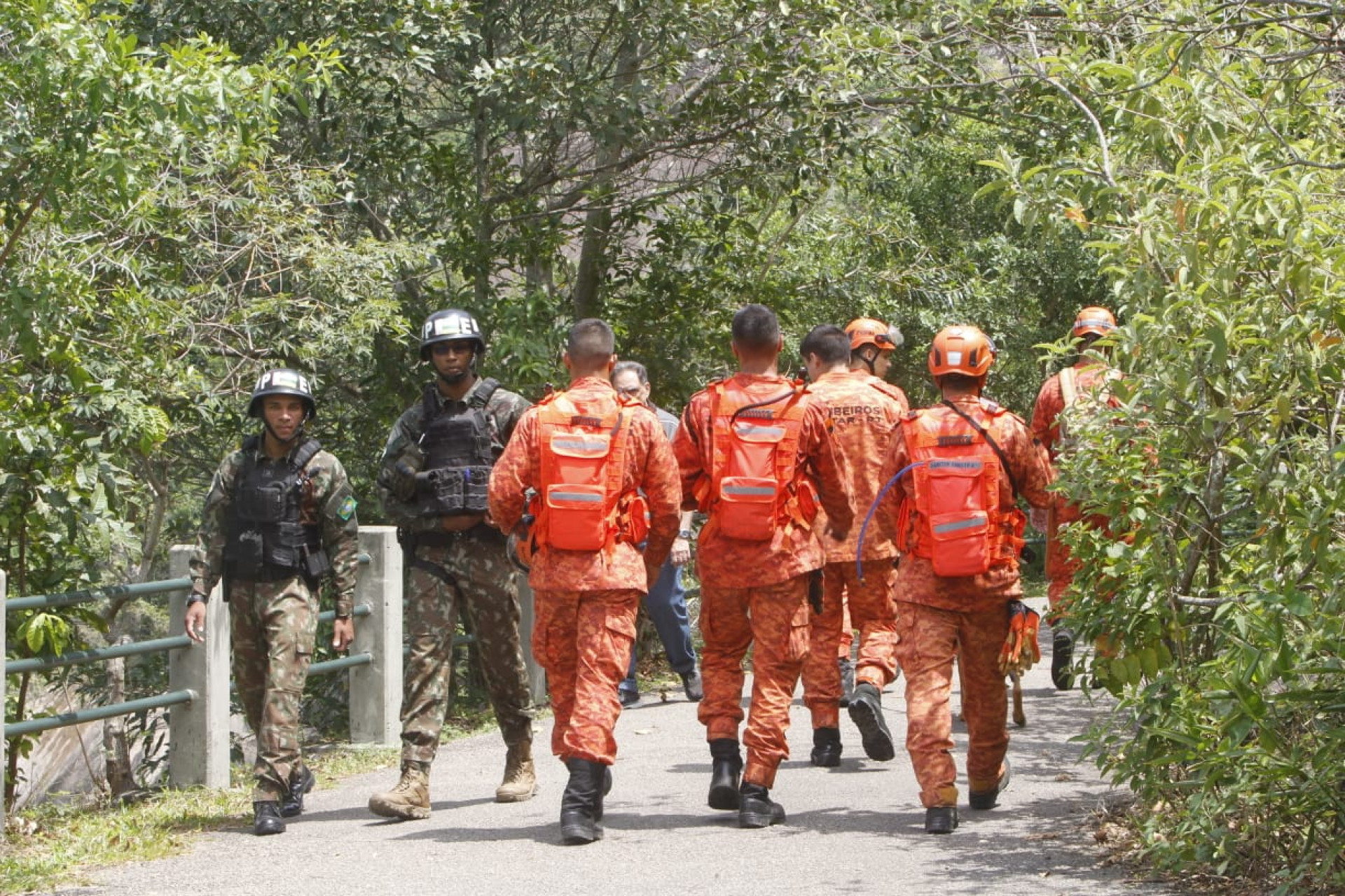 Corpo de Bombeiros busca por idoso que desapareceu na trilha do Pão de Açúcar - Reginaldo Pimenta / Agência O Dia