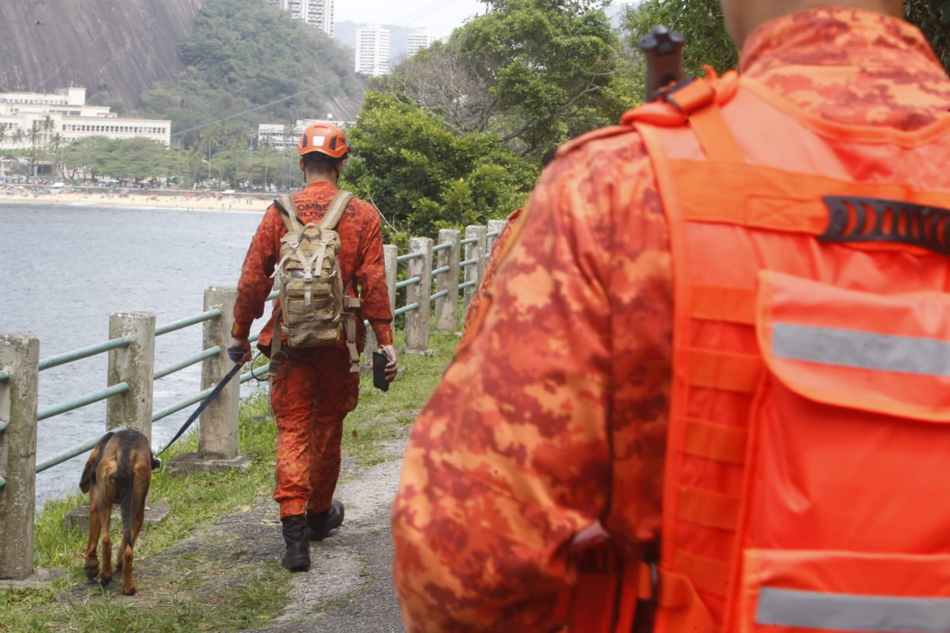 C&atilde;es de faro integram as equipes de busca - Reginaldo Pimenta / Ag&ecirc;ncia O Dia