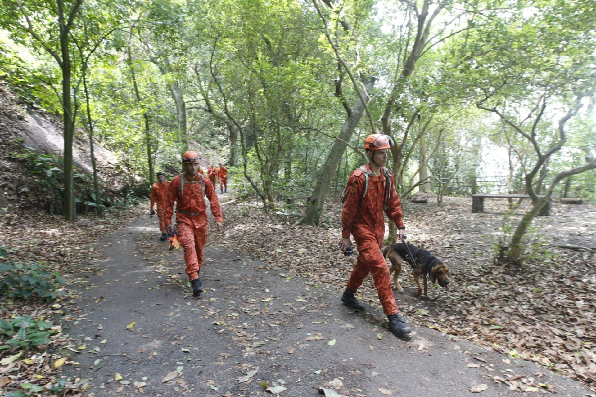Corpo de Bombeiros busca por idoso que desapareceu na trilha do Pão de Açúcar - Reginaldo Pimenta / Agência O Dia