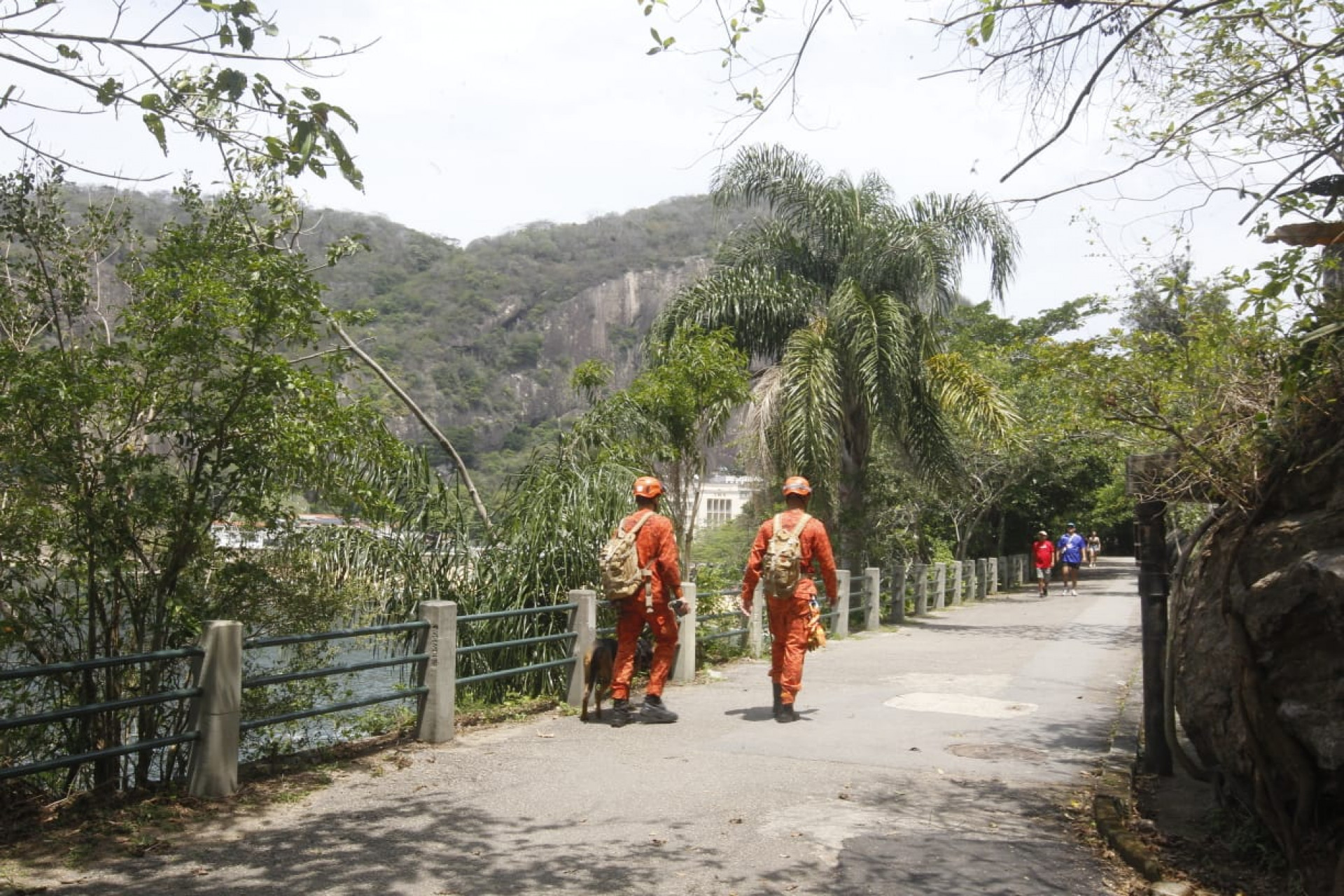Corpo de Bombeiros busca por idoso que desapareceu na trilha do Pão de Açúcar - Reginaldo Pimenta / Agência O Dia