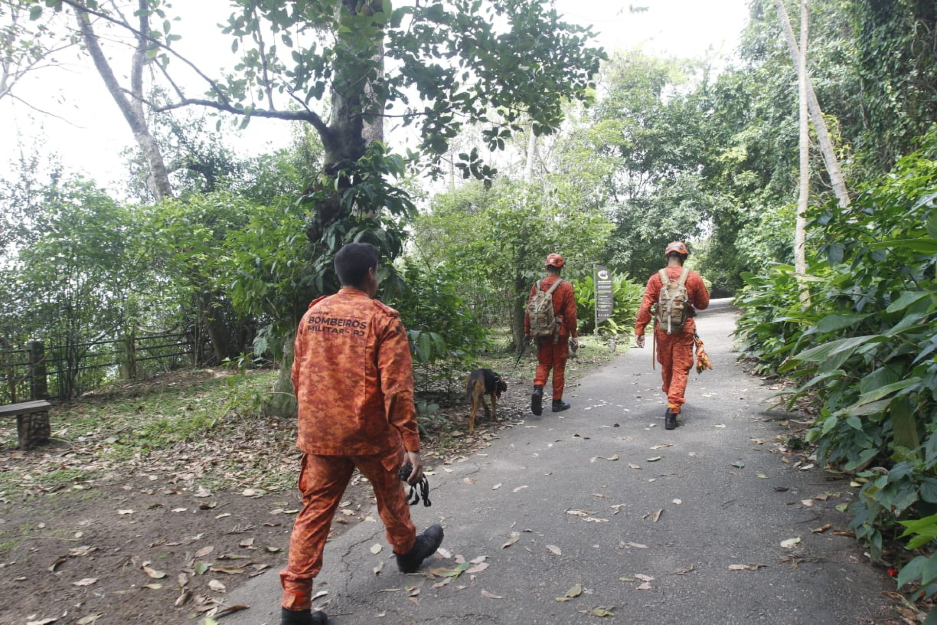 Corpo de Bombeiros busca por idoso que desapareceu na trilha do Pão de Açúcar - Reginaldo Pimenta / Agência O Dia