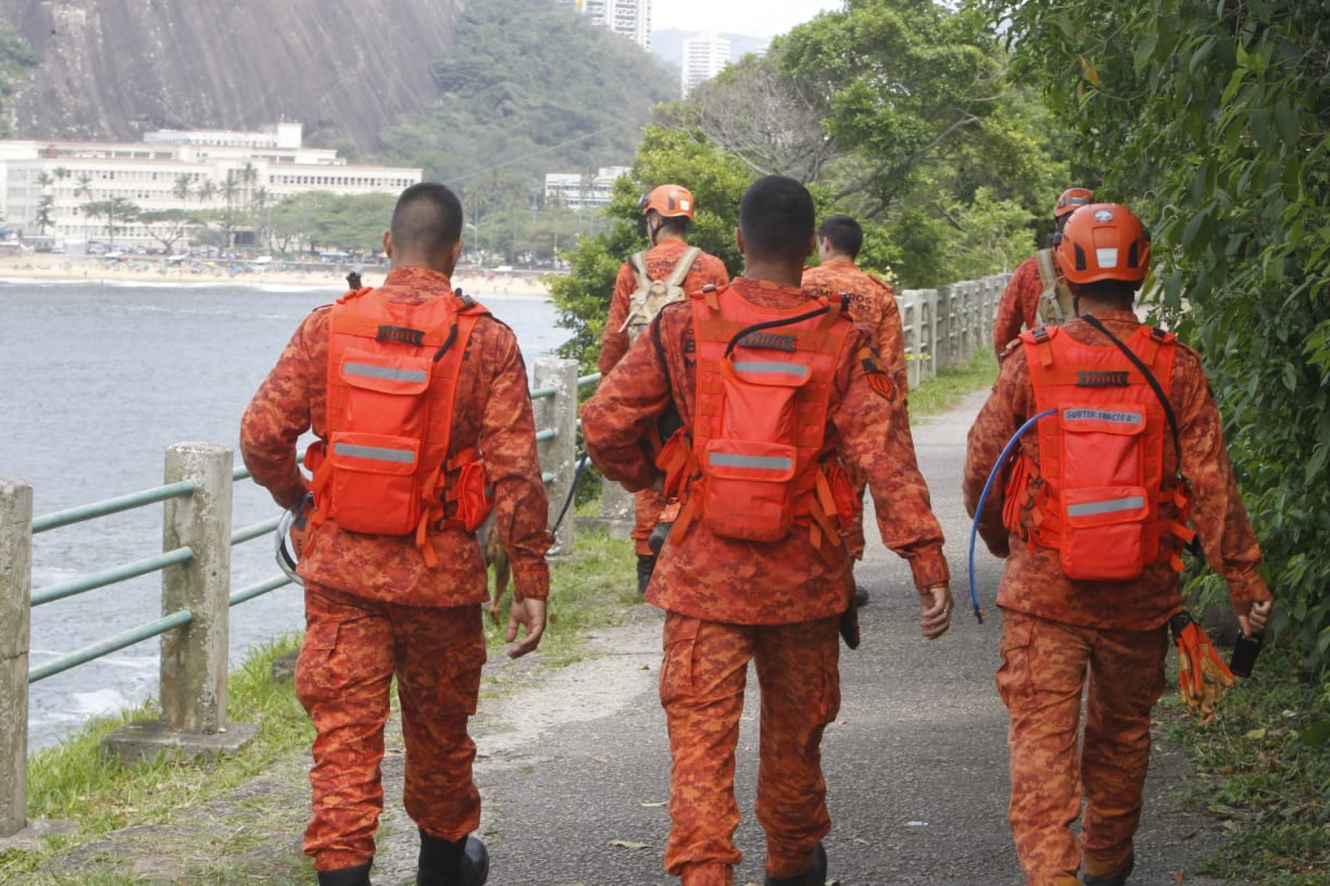 Corpo de Bombeiros busca por idoso que desapareceu na trilha do Pão de Açúcar - Reginaldo Pimenta / Agência O Dia